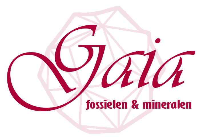 Gaia Fossielen & Mineralen logo